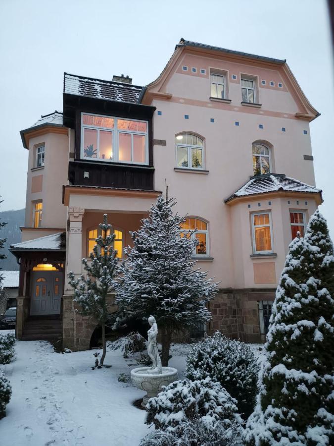 Villa Federer Dolni Zalezly Екстер'єр фото